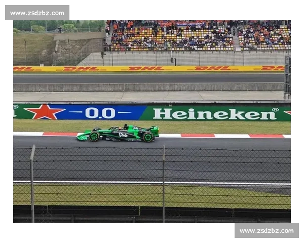 F1观赛入门：看懂比赛必须知道的10件事